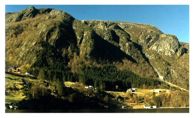 skogbu